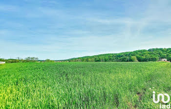 terrain à Sarrouilles (65)