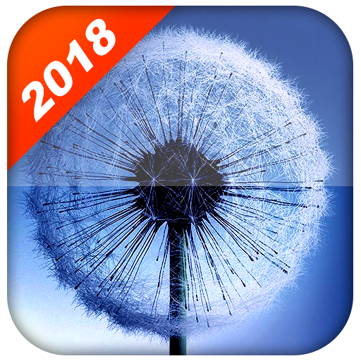 Dandelion Live Wallpaper HD Background