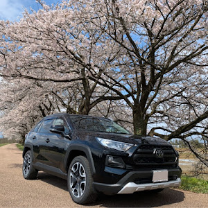 RAV4 MXAA54