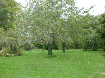 terrain à Azay-sur-Cher (37)