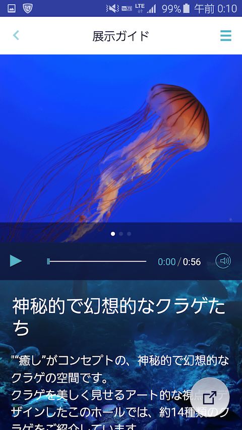 新江ノ島水族館のおすすめ画像5