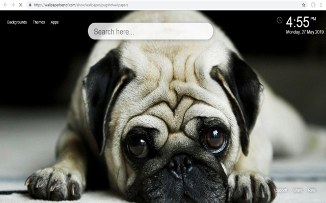 Pugs HD Fonds décran