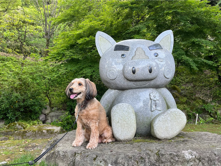 デリカミニの街乗りシンプルスタイル・いいね♪ありがとうございます♪・エネルギーモニター・ワンコとグリブーに関するカスタム事例の投稿画像9枚目