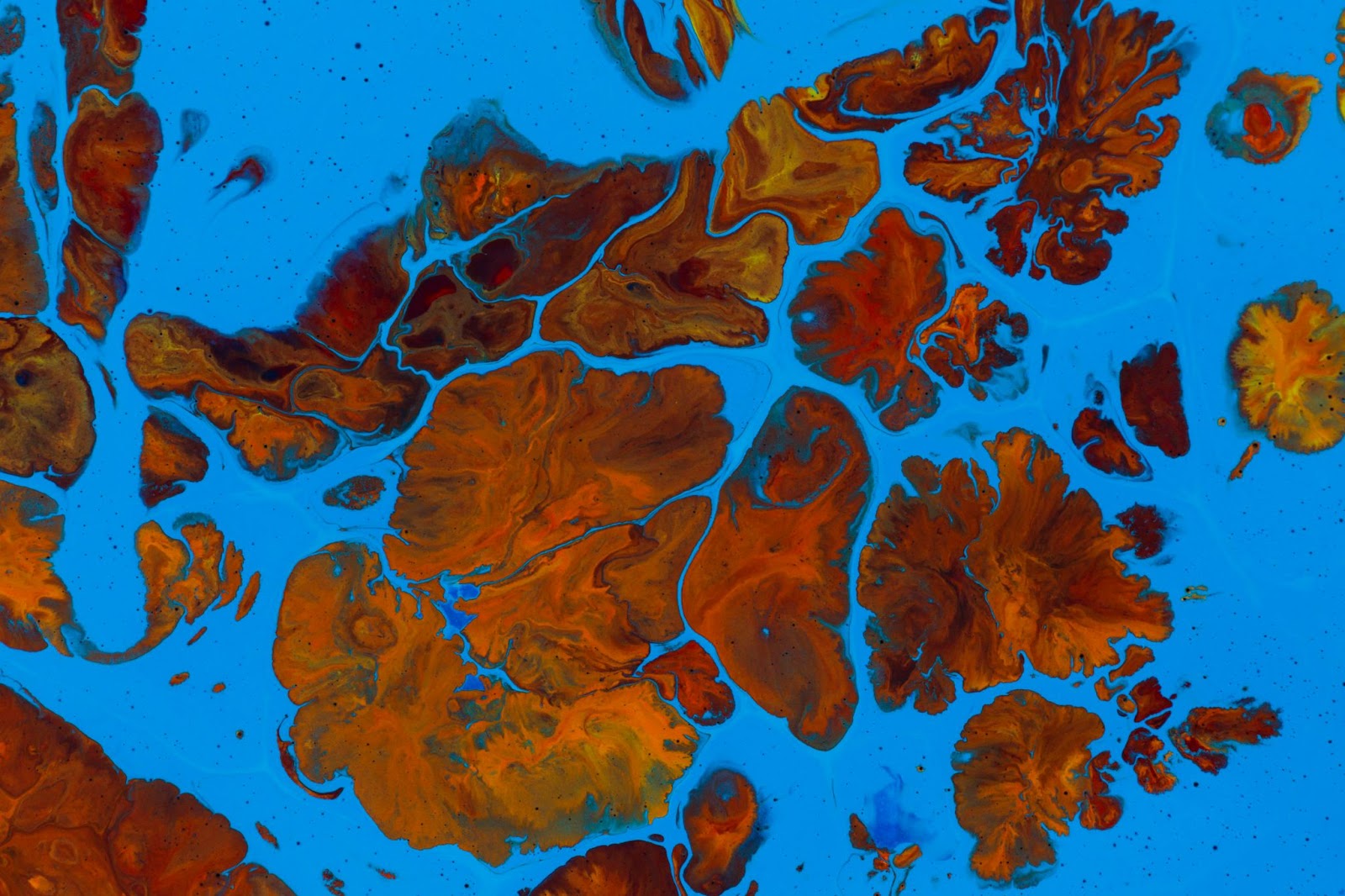 types of epoxy floor