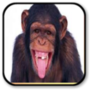 Monkey Sounds  Icon