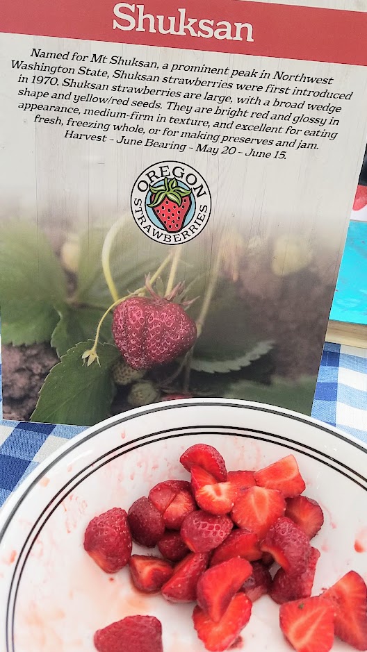 Oregon Strawberries, Shuksan varietal of strawberries