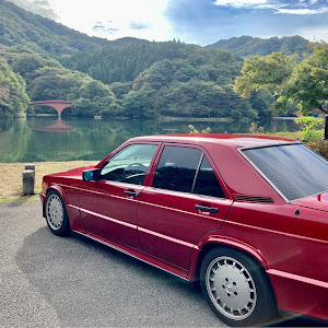 190シリーズ W201