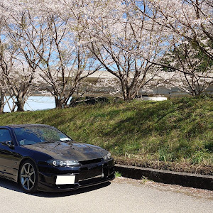 シルビア S15