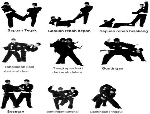 Learn Pencak Silat Techniques