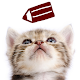 Download Cat Sticky Notes Notepad For PC Windows and Mac 3.0.14