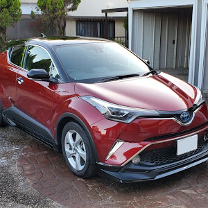 C-HR ZYX10