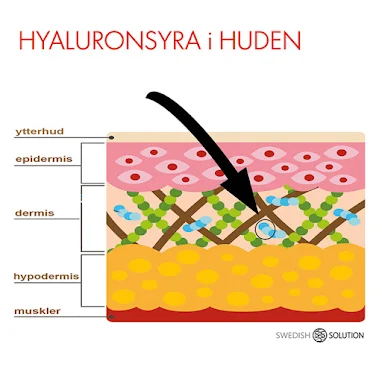 HYALURONSYRA; ALLT DU BEHVER VETA OM MNET SOM KAN GE DIG FINARE HY OCH STRRE LPPAR