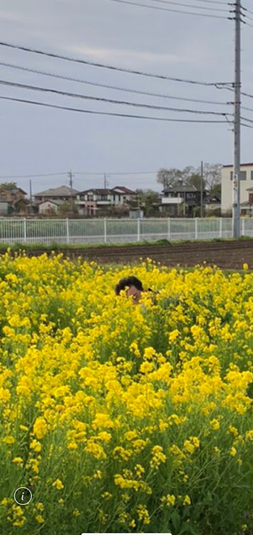 の投稿画像4枚目