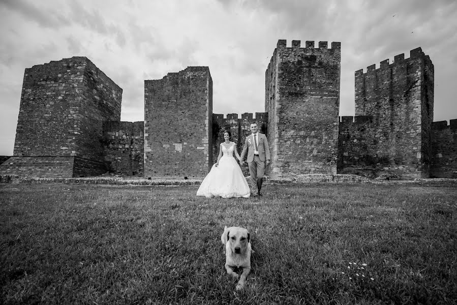 Photographe de mariage Vladimir Milojkovic (mvladimir). Photo du 23 juin 2018