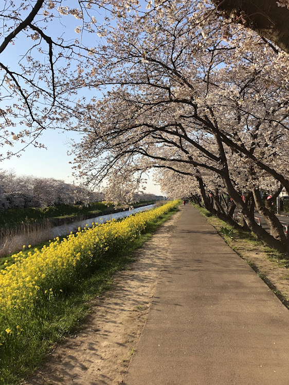 の投稿画像4枚目