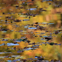 colori sull'acqua di 