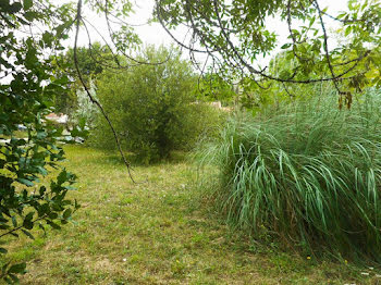 terrain à Le Château-d'Oléron (17)