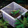 miniatures image - 5
