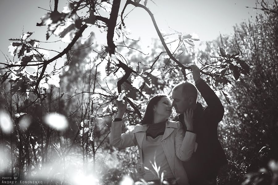 Wedding photographer Andrey Kononenko (akononenko). Photo of 2 January 2013