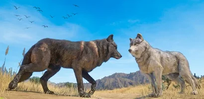 Wolf Sim: Offline Animal Games para Android - Download