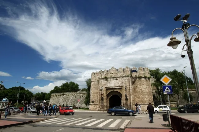 Uhvaćen pas koji je izujedao učenike u selu pored Niša