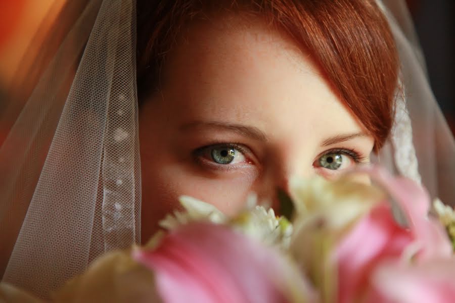 Fotógrafo de casamento Nestor Meneses (nestormeneses). Foto de 25 de fevereiro 2015