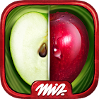 Find the Difference Fruit – Find Differences Game 2.1.1