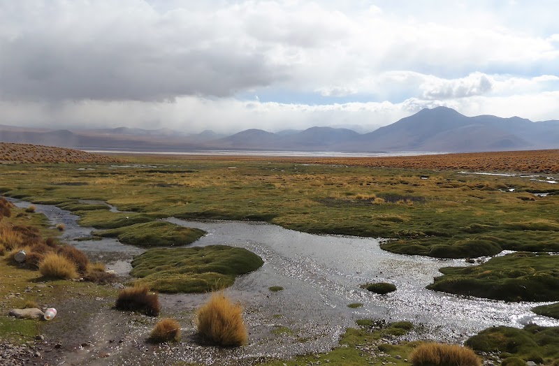 LAGUNAS DE COLORES:RESERVA NACIONAL DE FAUNA ANDINA EDUARDO AVAROA. BOLIVIA - CHILE: Atacama ( con extensión a Uyuni) y Carretera Austral (42)