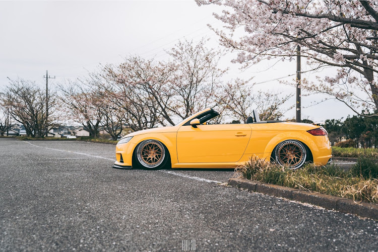 TT ロードスターの桜に関するカスタム事例の投稿画像1枚目
