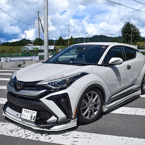 C-HR NGX50