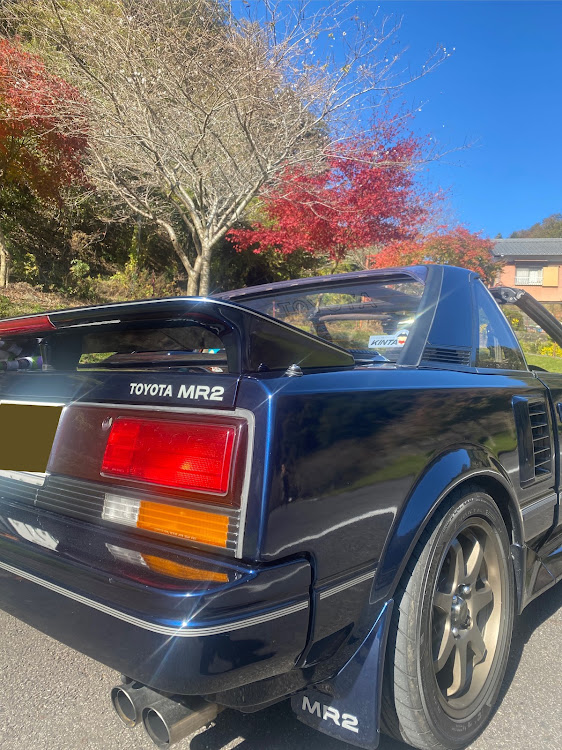MR2の紅葉と四季桜・愛車の一番好きな角度・ドライブ日和♪・旧車・ラジエーター系不具合に関するカスタム事例の投稿画像5枚目