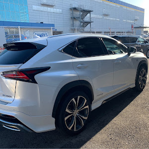 NX AYZ15