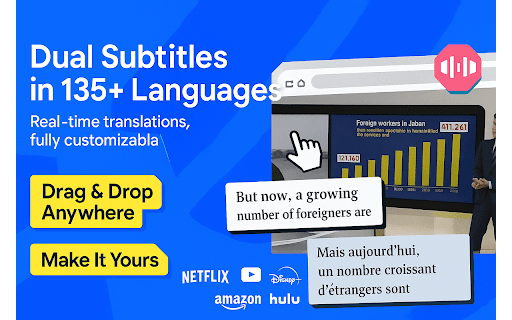 Dual Subtitles Any Site