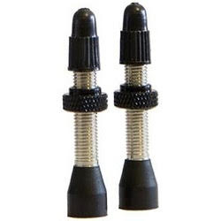 Terrene Brass Tubeless Valves