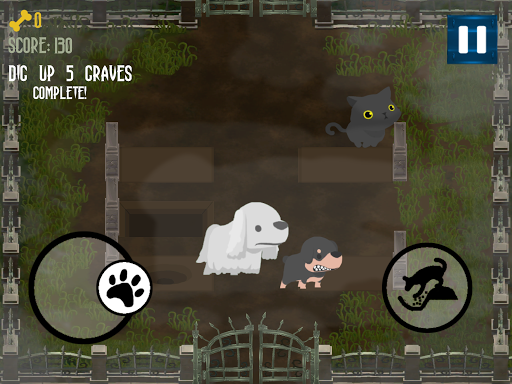 Ghost Doggo Graveyard