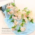 Champagne