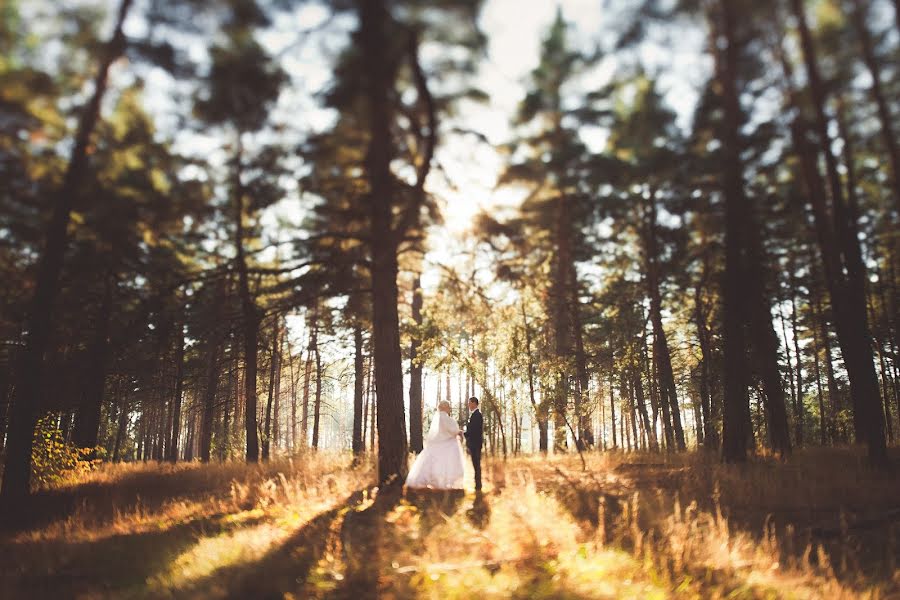 Wedding photographer Dmitriy Moskalenko (moskalenkodmitry). Photo of 18 November 2015