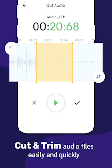 Voice recorder app : Audio editor - Best recorderのおすすめ画像3