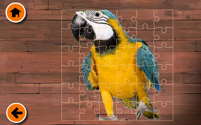 Fancy Birds Puzzle Game