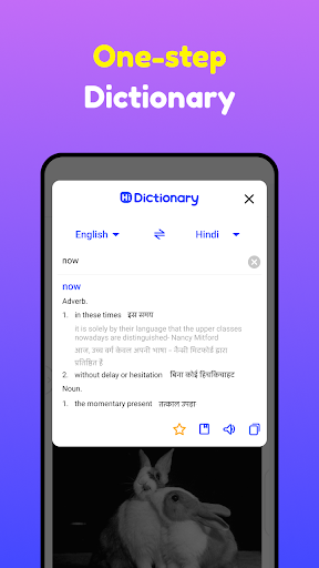 Hi Dictionary - Learn Language screenshot #4