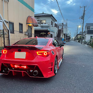 86 ZN6