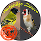 Download Canto de Pintassilgo For PC Windows and Mac 1.0