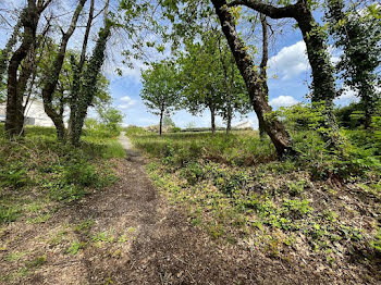 terrain à Rion-des-Landes (40)