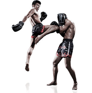 Boxing World Wide(圖1)-速報App