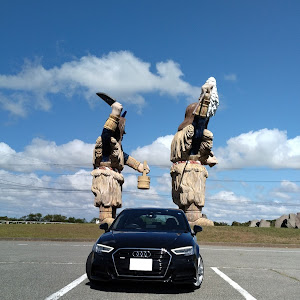A3 スポーツバック 8VCXS