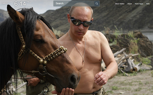 Vladimir Putin Wallpapers Theme New Tab