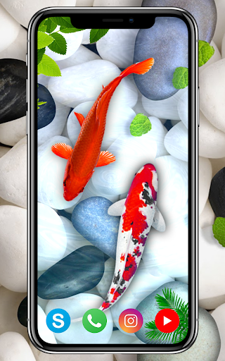 KOI Fish Live Wallpaper  New fish Wallpaper 2020
