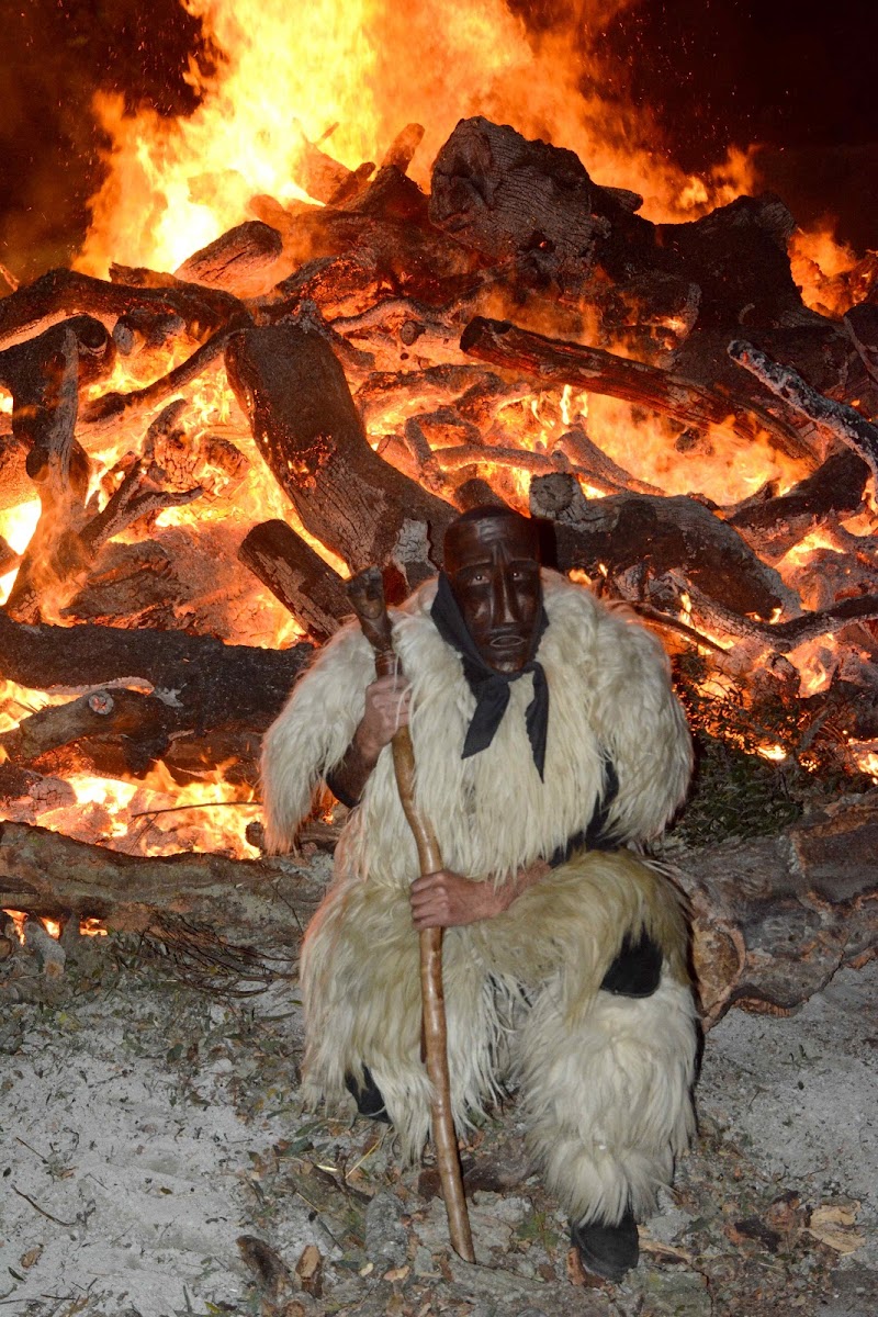 Febbraio in Sardegna di tomaso melis