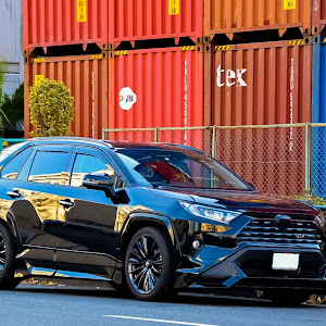 RAV4 MXAA54