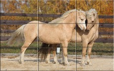 パズル - 美しい馬のおすすめ画像4